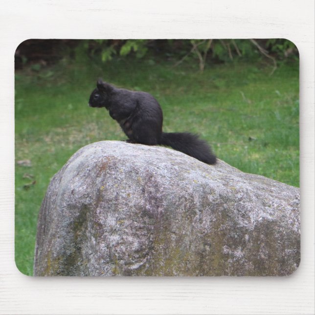 Tapis De Souris Écureuil noir mignon sur un écureuil de la nature  (Devant)