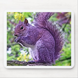 Tapis De Souris Écureuil pourpre