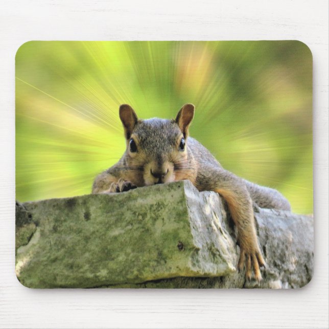 Tapis De Souris Écureuil relaxant (Devant)