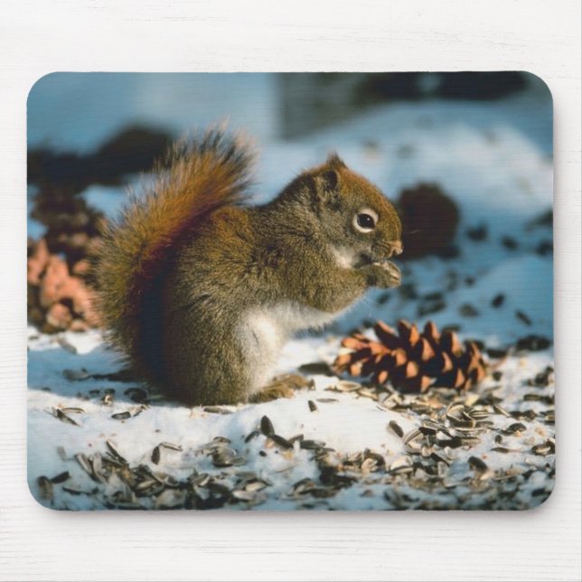 Tapis De Souris Écureuil roux (Devant)