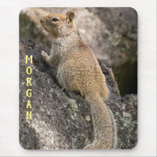 Tapis De Souris Écureuil terrestre de Californie