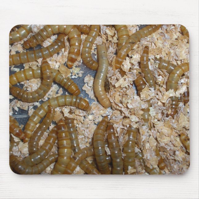 Tapis De Souris Eeewww… - Mousepad (Devant)