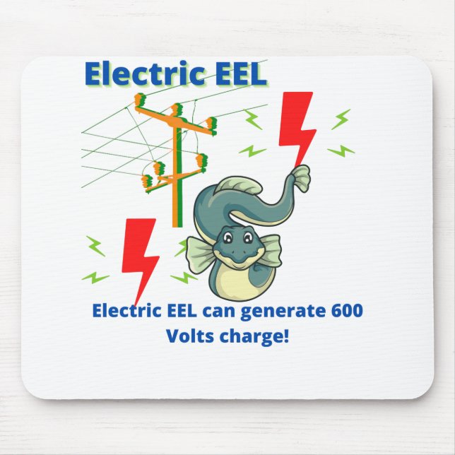 Tapis De Souris EEL Électrique Peut Générer 600 Volts (Devant)