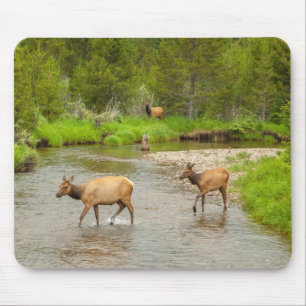 Tapis De Souris Élans traversant le fleuve Colorado