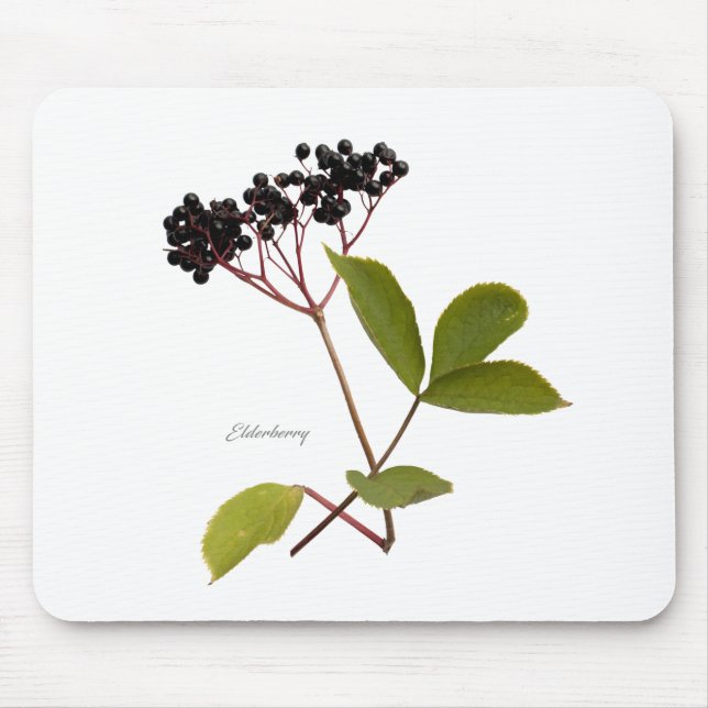 Tapis De Souris Elderberry (Devant)