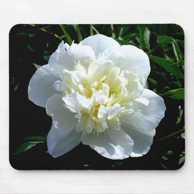 Tapis De Souris Elégant blanc peony floral blanc photo (Devant)