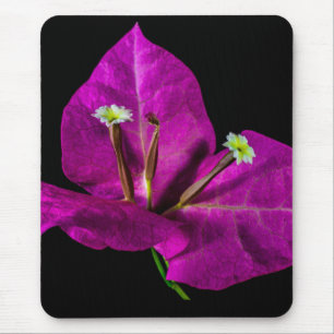 Tapis De Souris Élégant Bougainvillier violet