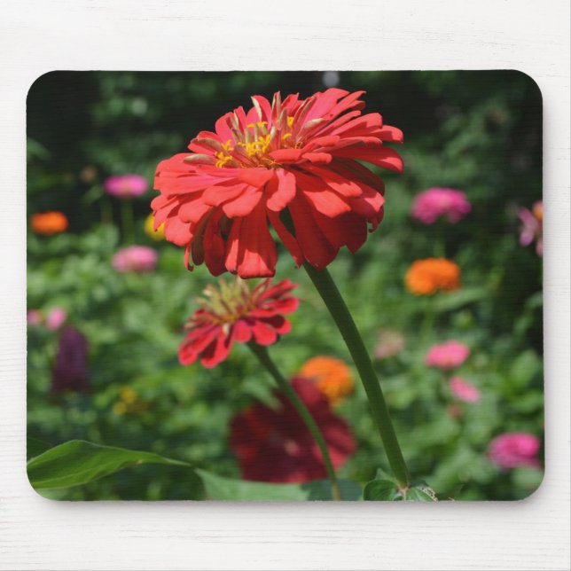 Tapis De Souris Elégant jardin fleuri rouge orangé (Devant)