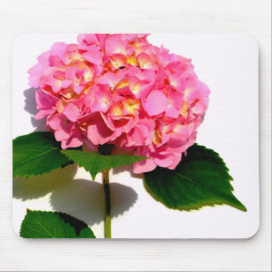 Tapis De Souris Elégante hydrangée rose fleurie rose