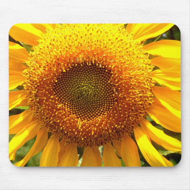 Tapis De Souris Elégante photo de tournesol (Devant)