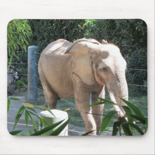 Tapis De Souris Eléphant