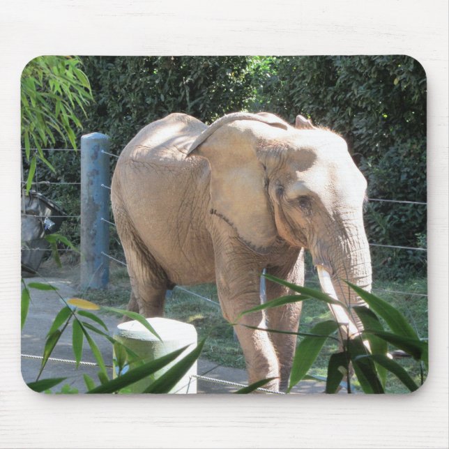 Tapis De Souris Eléphant (Devant)