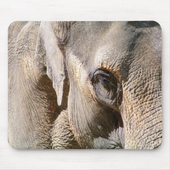 TAPIS DE SOURIS ÉLÉPHANT (Devant)