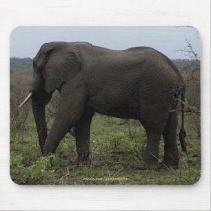 Tapis De Souris Eléphant Africain Big Five Animal Mousepad