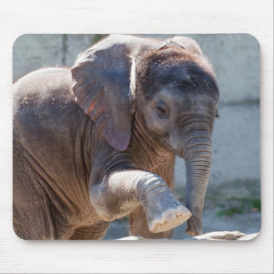 Tapis De Souris Eléphant bébé
