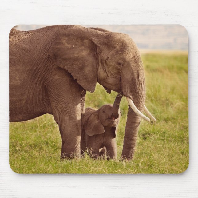 Tapis De Souris Éléphant et bébé des images | de Getty (Devant)