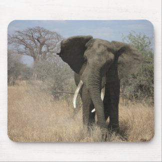 Tapis De Souris Éléphant Mousepad