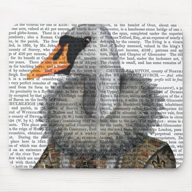 Tapis De Souris Elisabéthain Swan (Devant)