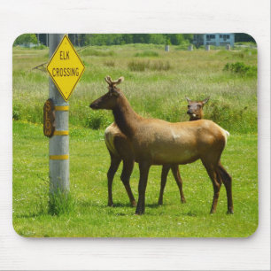 Tapis De Souris Elk Crossing California Wildlife Photography
