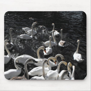 Tapis De Souris Éloigne les cygnes