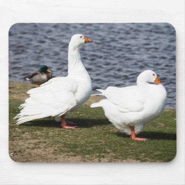 Tapis De Souris Embden Geese (Devant)