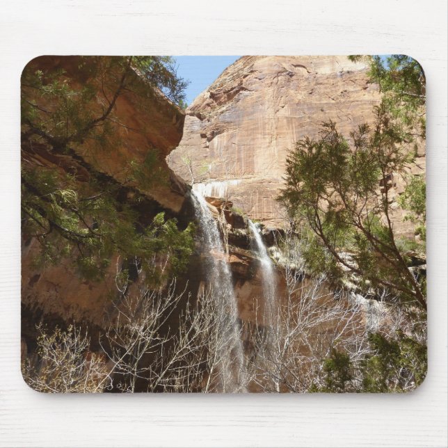 Tapis De Souris Emerald Pool Falls I du parc national Zion (Devant)