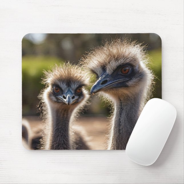 Tapis De Souris Emu Birds Souris Pad (Avec souris)