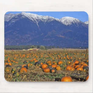 Tapis De Souris Endroit Citrouille de Flathead Valley Montana