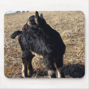 Tapis De Souris Enfant noir et tan