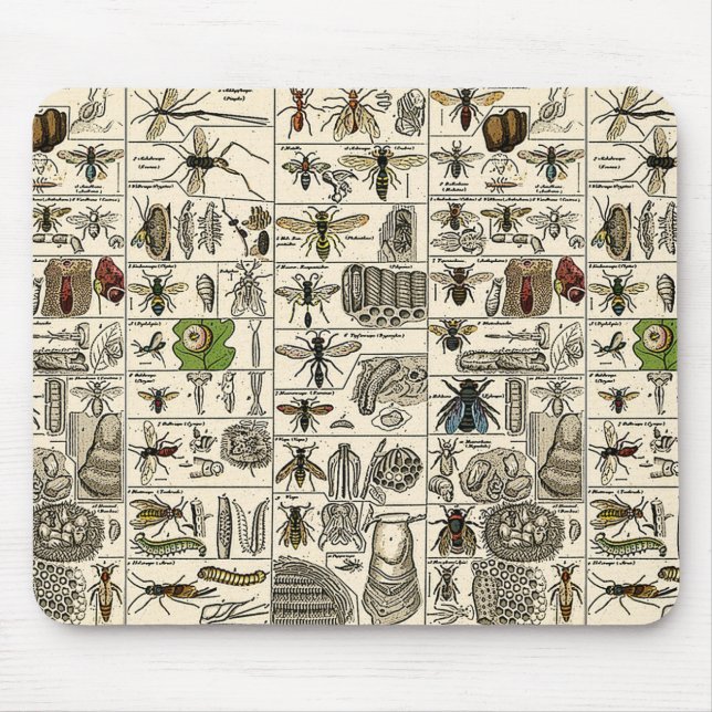 Tapis De Souris Entomologie vintage (Devant)