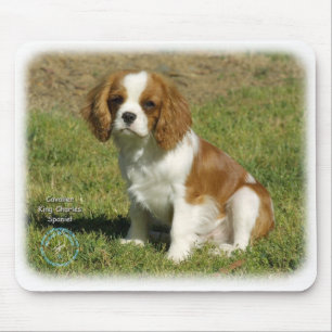Tapis De Souris Épagneul cavalier du Roi Charles