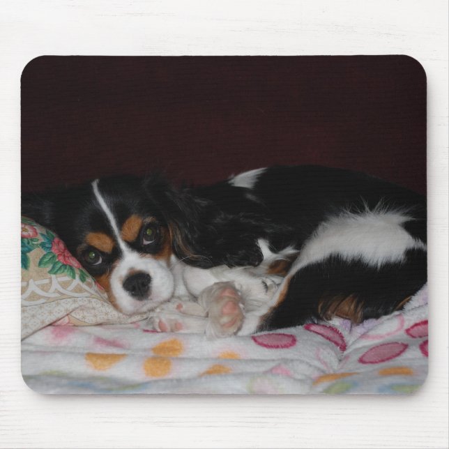 Tapis De Souris Épagneul cavalier du Roi Charles (Devant)