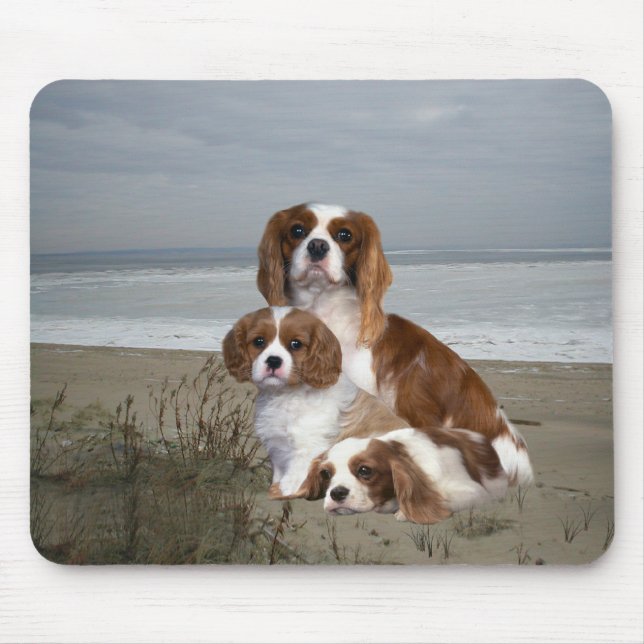 Tapis De Souris Épagneul cavalier Mousepad du Roi Charles (Devant)