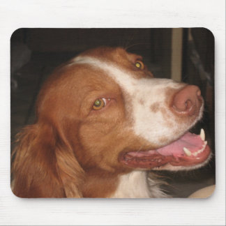 Tapis De Souris Épagneul de Bretagne de sourire