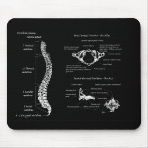Tapis De Souris Épine