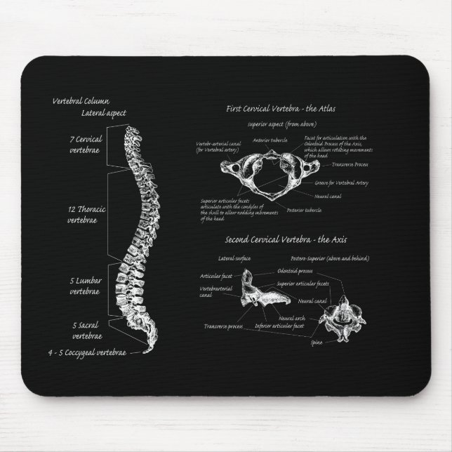 Tapis De Souris Épine (Devant)