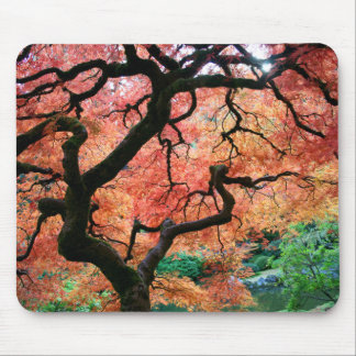 Tapis De Souris Érable japonais 1