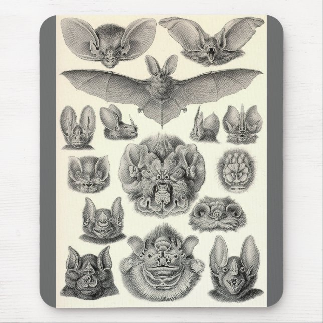 Tapis De Souris Ernst Haeckel - chauves-souris de Chiroptera (Devant)