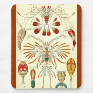 Tapis De Souris Ernst Haeckel - Copepoda
