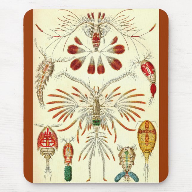 Tapis De Souris Ernst Haeckel - Copepoda (Devant)
