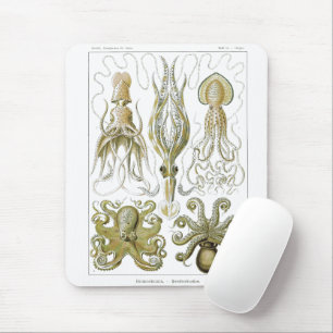 Tapis De Souris Ernst Haeckel Gamochonia Octopus & Squid