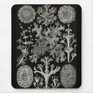Tapis De Souris Ernst Haeckel - Lichenes