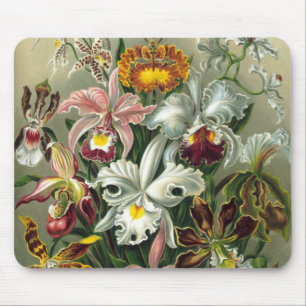 Tapis De Souris Ernst Haeckel Orchidées, Fleurs Vintage de la Forê