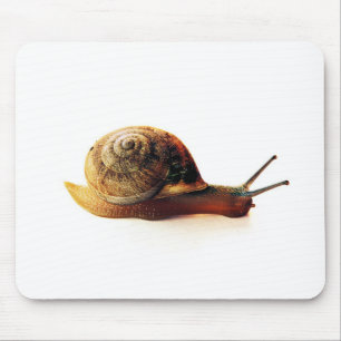 Tapis De Souris Escargot
