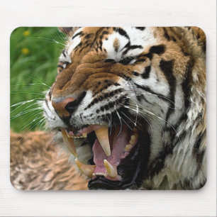 Tapis De Souris Esprit libre Tiger