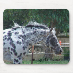 Tapis De Souris étalon de maîtrise de champion