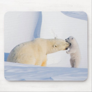 Tapis De Souris États-Unis, Alaska, North Slope Ours polaires