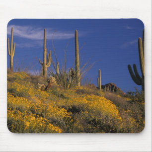 Tapis De Souris États-Unis, Arizona, Organ Pipe Cactus National 2