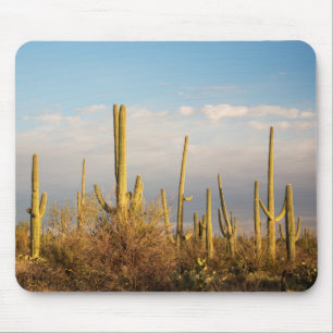 Tapis De Souris États-Unis, Arizona, Parc national de Saguaro, Sag