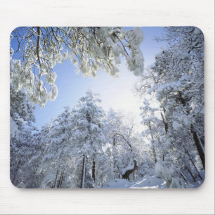 Tapis De Souris États-Unis, Californie, Cleveland National Forest,